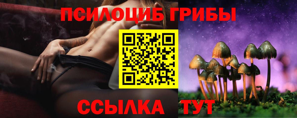 Псилоцибиновые грибы мухоморы  Псилоцибиновые грибы ЛСД  Вход с VPN  Павлово 